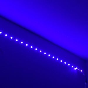 Meet your Posher, Fallyn